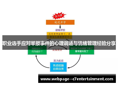 职业选手应对举报事件的心理调适与情绪管理经验分享